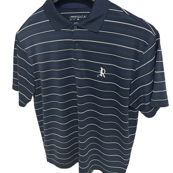 Nike Mens Dri Fit Golf Polo Size Large Striped Blue 100% Polyester Logo - Picture 2 of 6